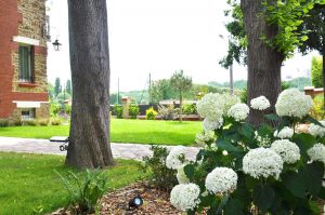 jardin soisy sophie durin paysagiste conceptrice(7)